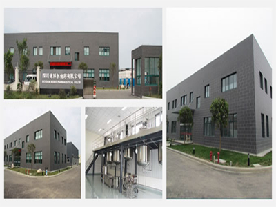 四(si)川德博爾(er)制藥有限(xian)公司